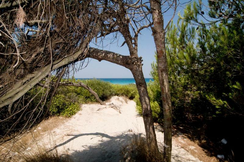 Vila Casa Direttamente Sul Mare Marina di Mancaversa Exteriér fotografie